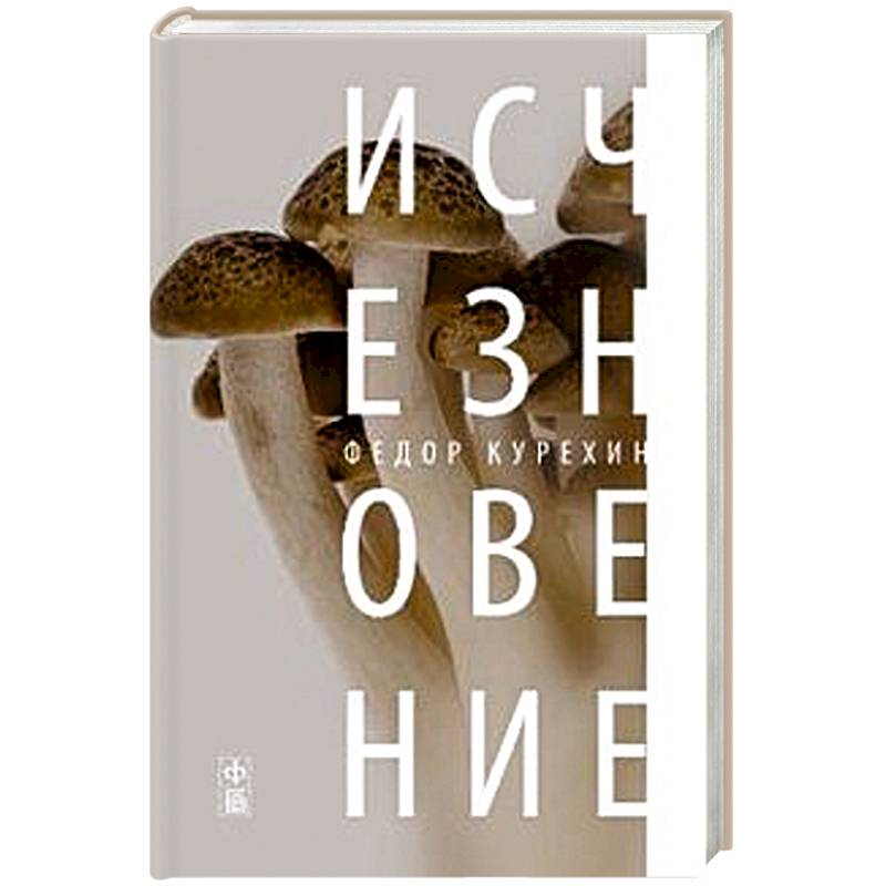 Фото Исчезновение