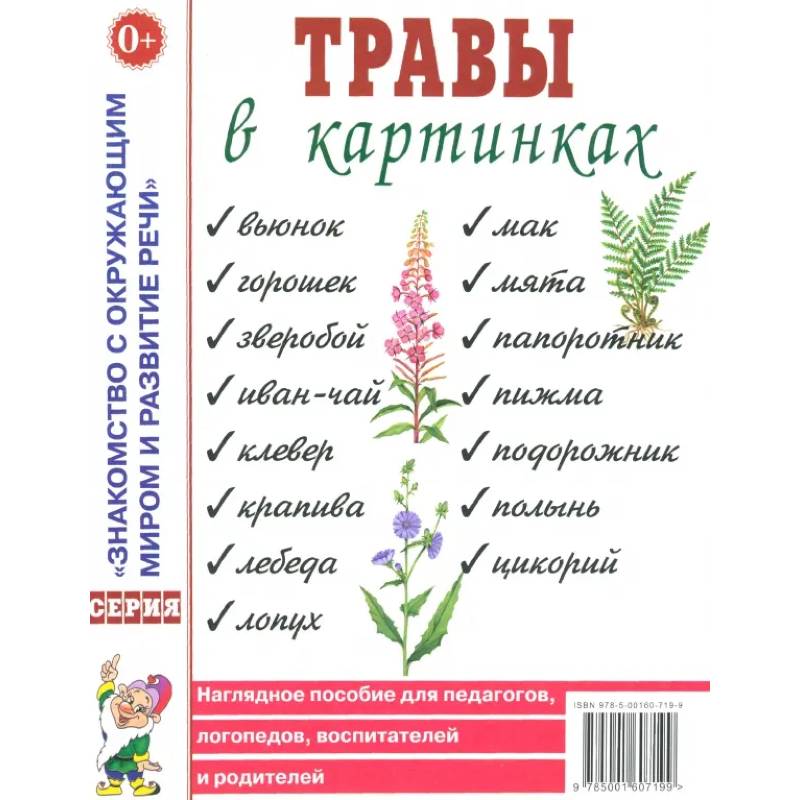 Фото Травы в картинках. Наглядное пособие для педагогов, логопедов, воспитателей и родителей