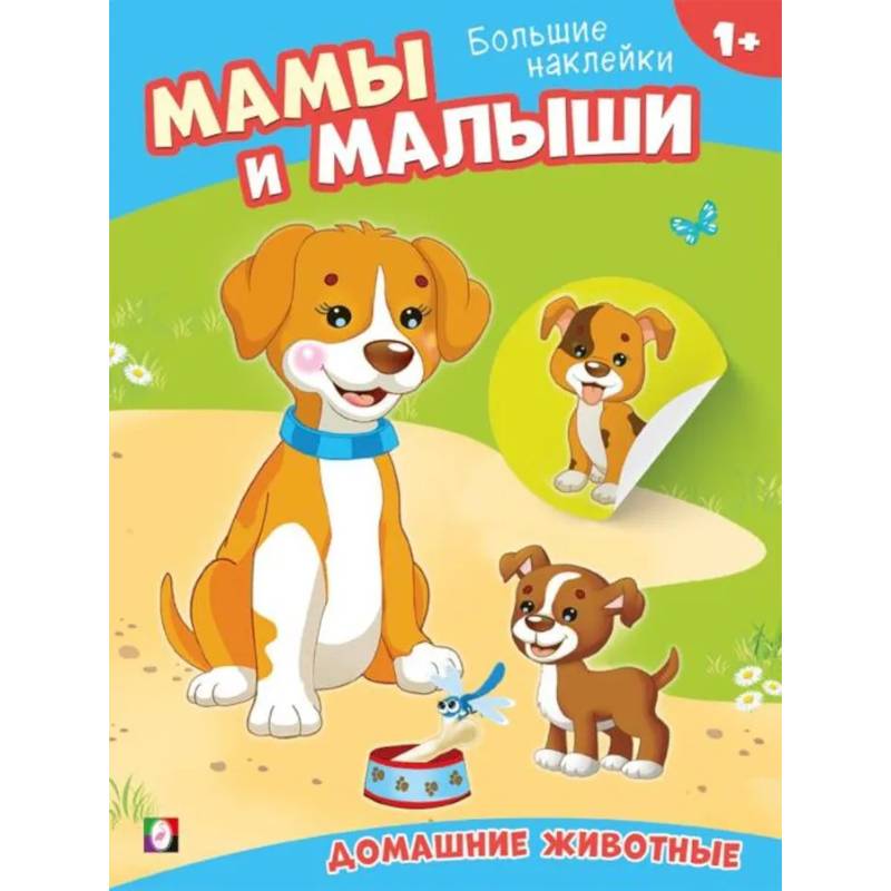 Фото Домашние животные