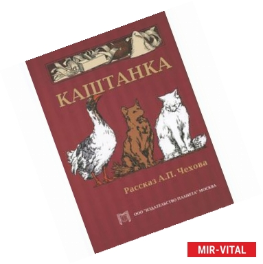 Фото Каштанка