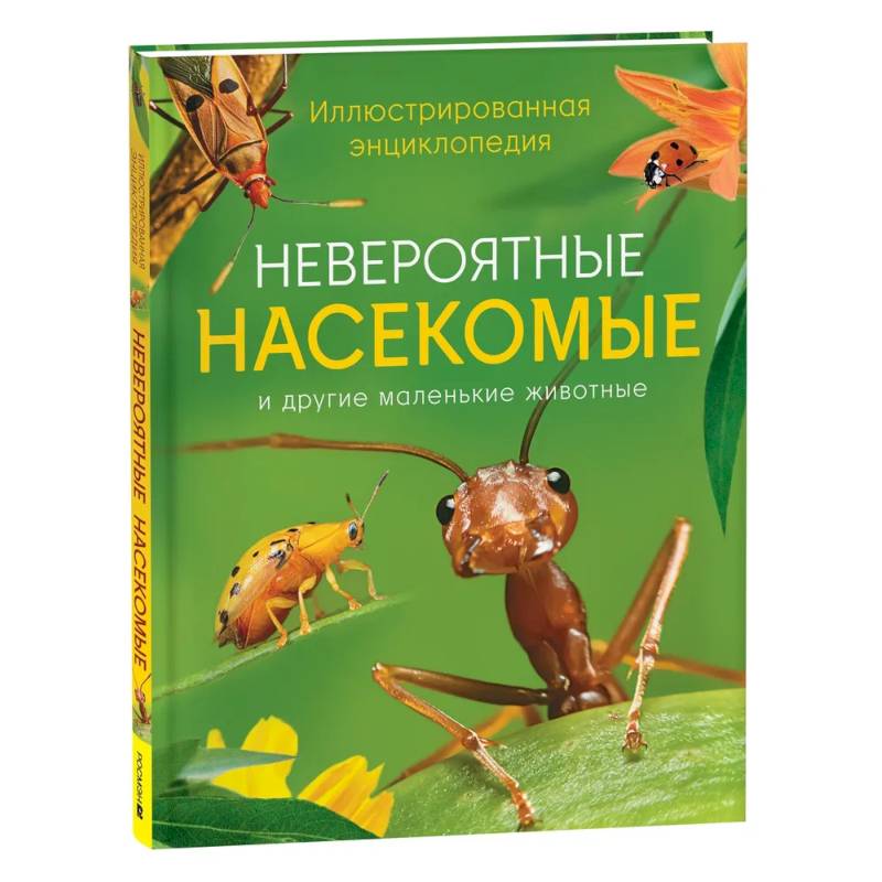 Фото Невероятные насекомые и другие маленькие животные. Иллюстрированная энциклопедия