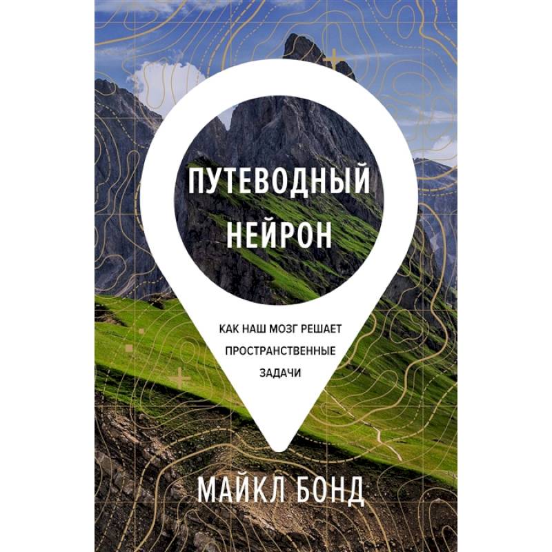 Фото Путеводный нейрон:Как наш мозг решает пространственные задачи