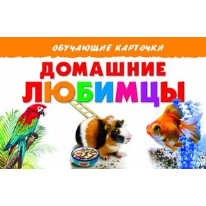 Фото Домашние любимцы