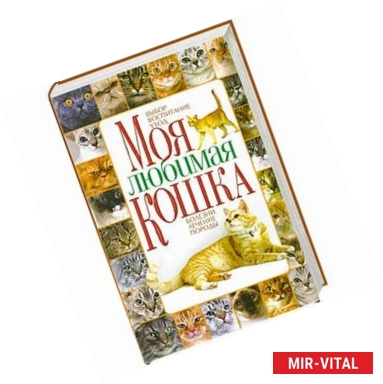 Фото Моя любимая кошка. Выбор, воспитание, уход, болезни, лечение,породы