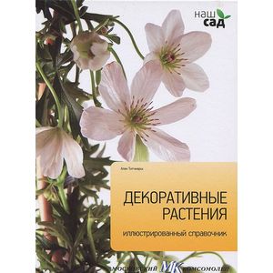 Фото Декоративные растения