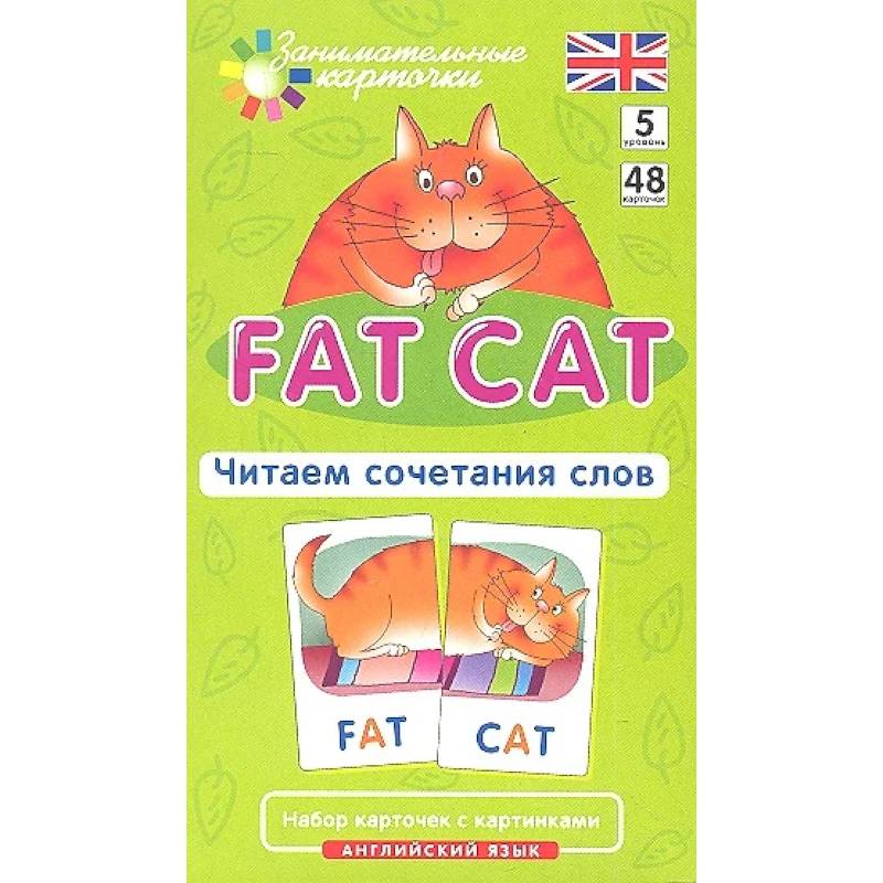 Фото Игровой развивающий набор: Толстый кот. Fat Cat. Читаем сочетания слов. Английский язык.