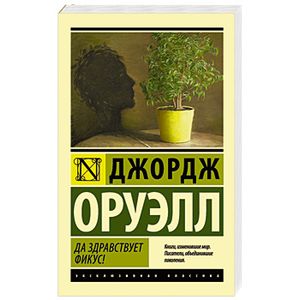 Фото Да здравствует фикус!