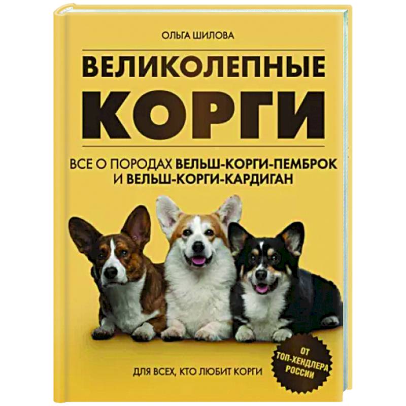 Фото Великолепные корги. Все о породах вельш-корги-пемброк и вельш-корги-кардиган