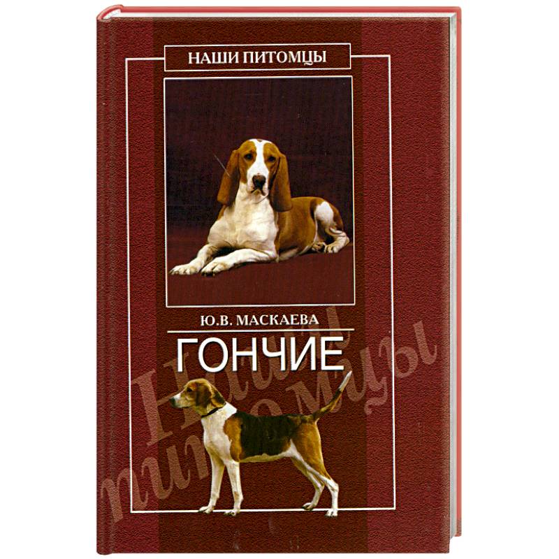 Фото Гончие