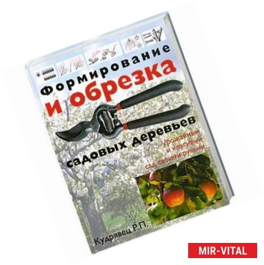 Фото Формирование и обрезка садовых деревьев