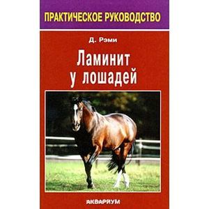 Фото Ламинит у лошадей