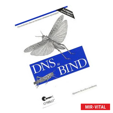 Фото DNS и BIND