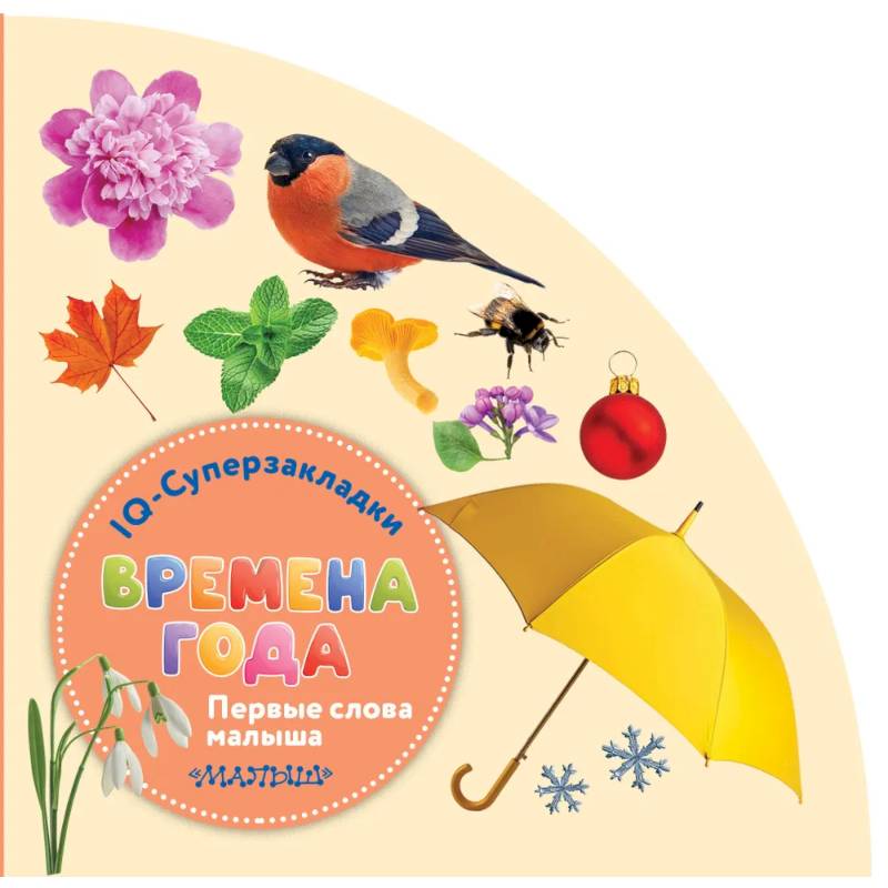 Фото Времена года