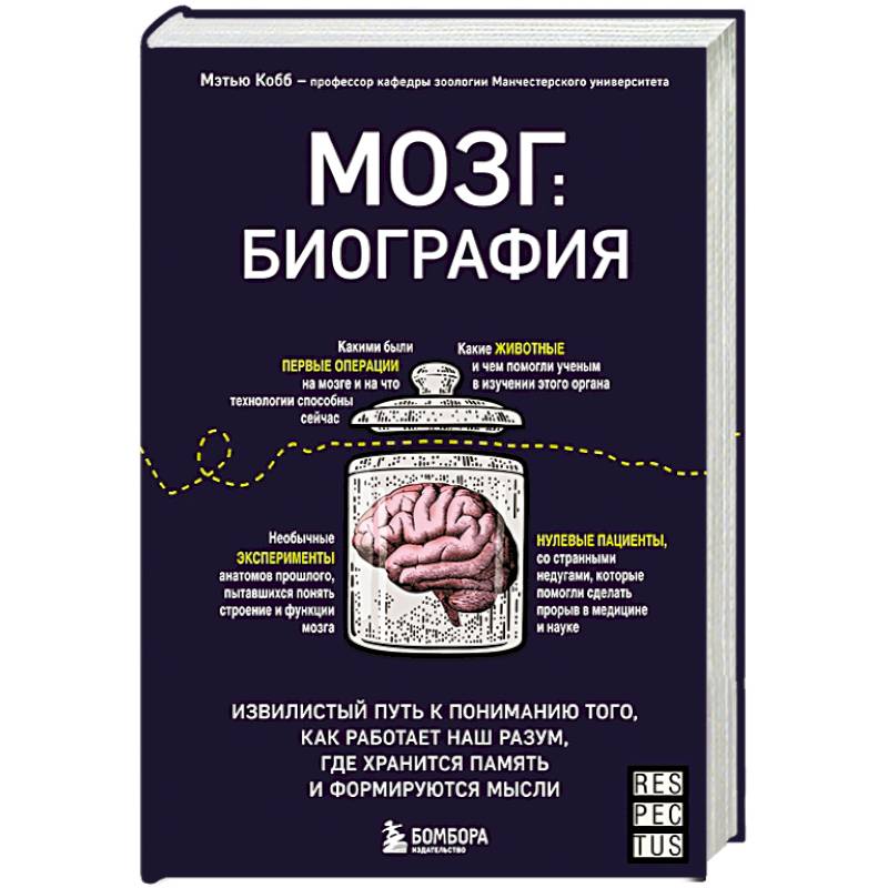 Фото Мозг: биография. Извилистый путь к пониманию того, как работает наш разум, где хранится память и формируются мысли