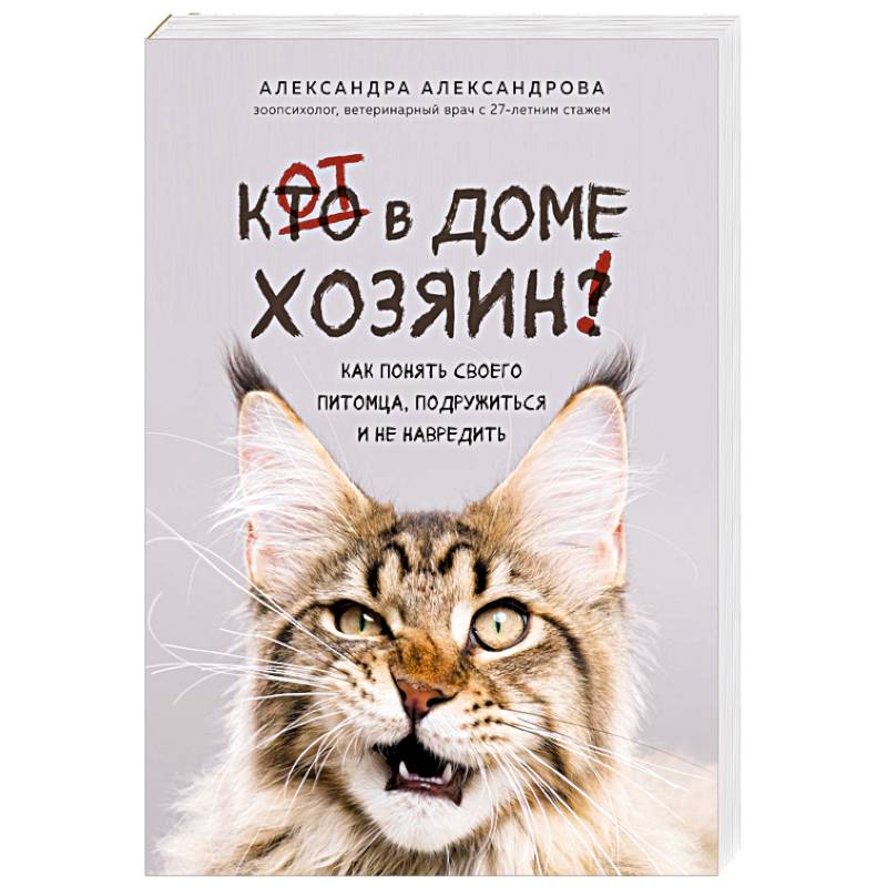 Фото Кот в доме хозяин! Как понять своего питомца, подружиться и не навредить