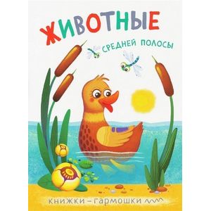 Фото Книжки-гармошки. Животные средней полосы