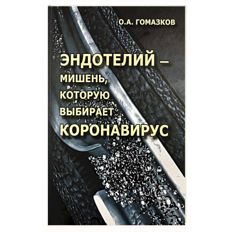 Фото Эндотелий – мишень, которую выбирает короновирус