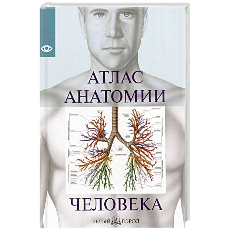 Фото Атлас анатомии человека