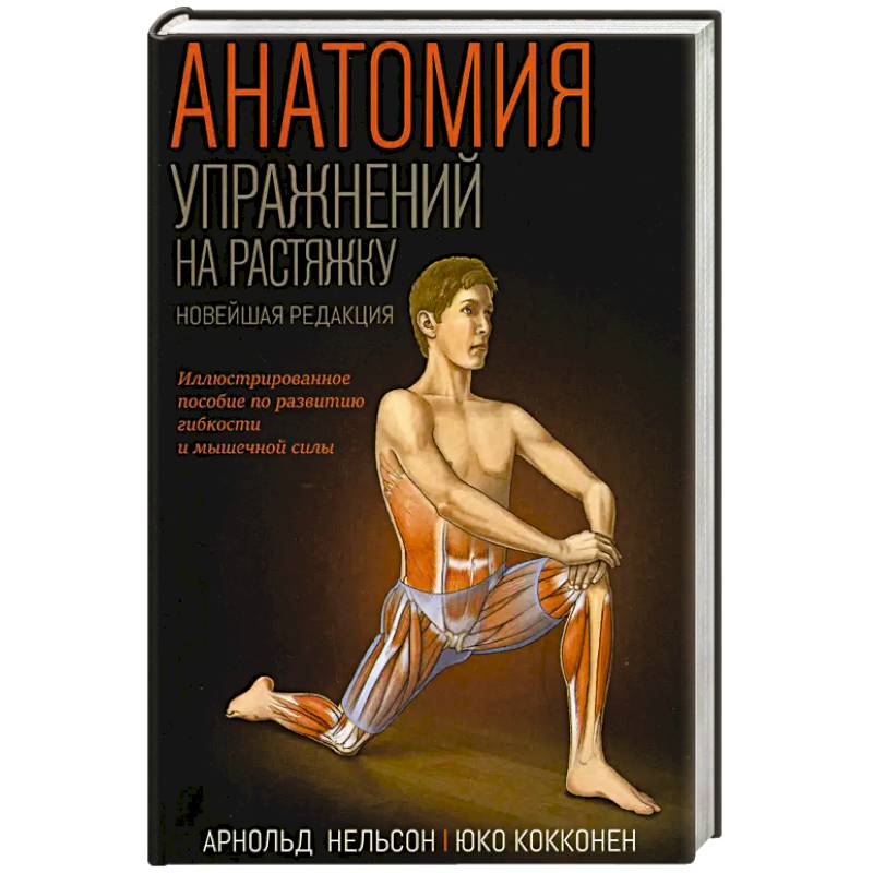 Фото Анатомия упражнений на растяжку. Новейшая редакция