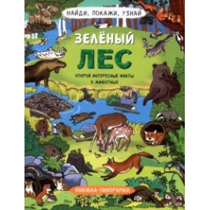 Фото Найди, покажи, узнай. Зелёный лес