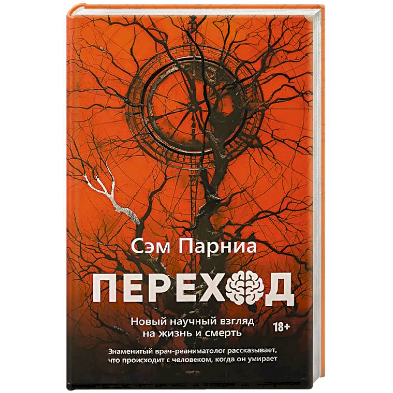 Фото Переход: Новый научный взгляд на жизнь и смерть