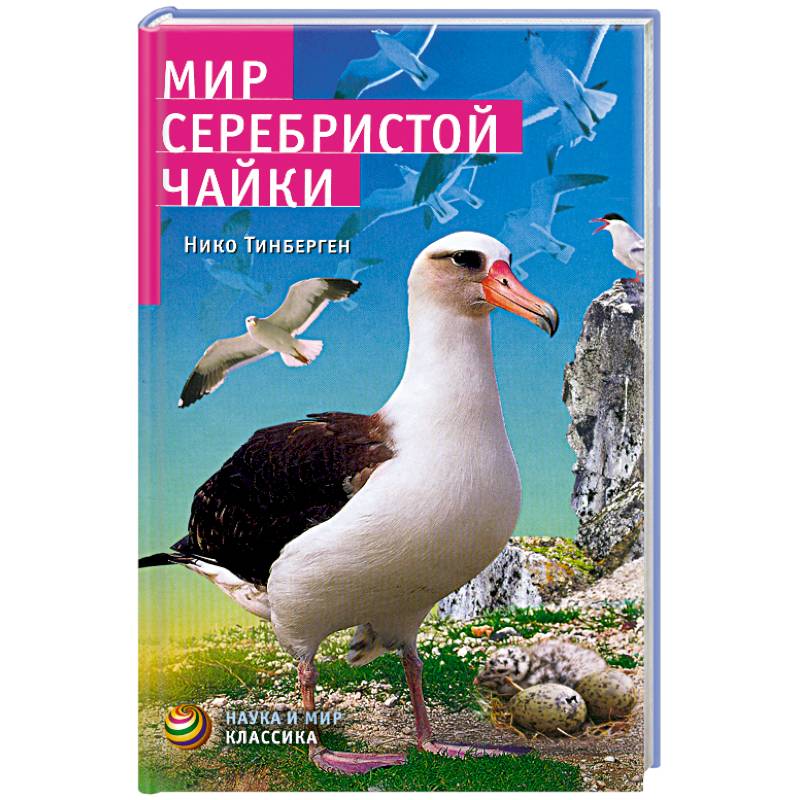 Фото Мир серебристой чайки