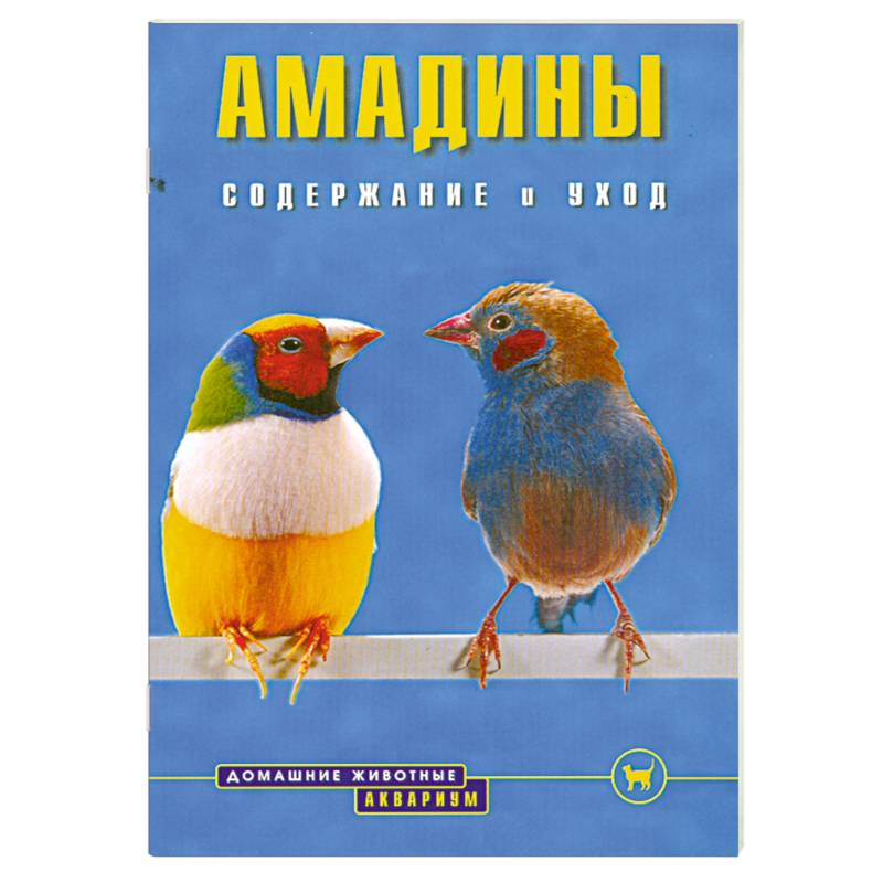 Фото Амадины