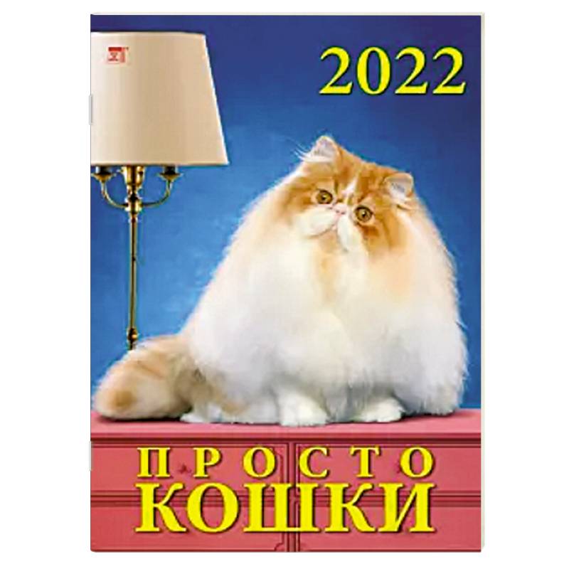 Фото 2022 Календарь Просто кошки