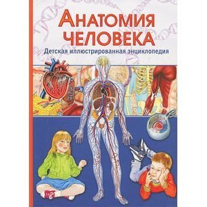 Фото Анатомия человека. Детская иллюстрированная энциклопедия.