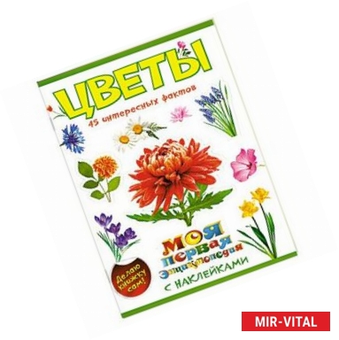 Фото Цветы