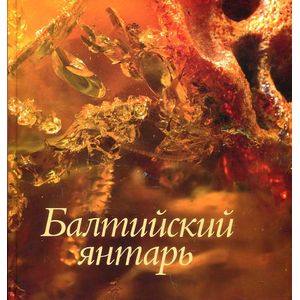 Фото Балтийский янтарь