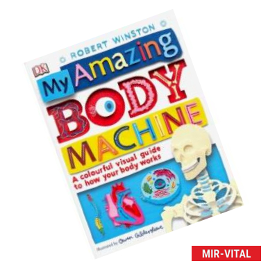 Фото My Amazing Body Machine: How your Body Works