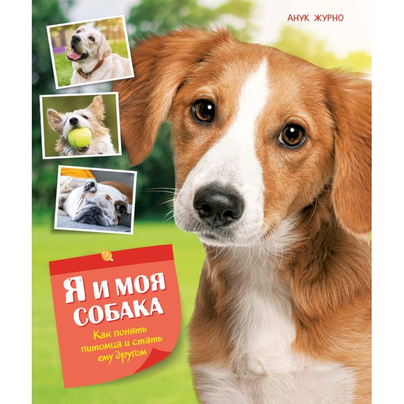 Фото Я и моя собака.Как понять питомца и стать ему другом