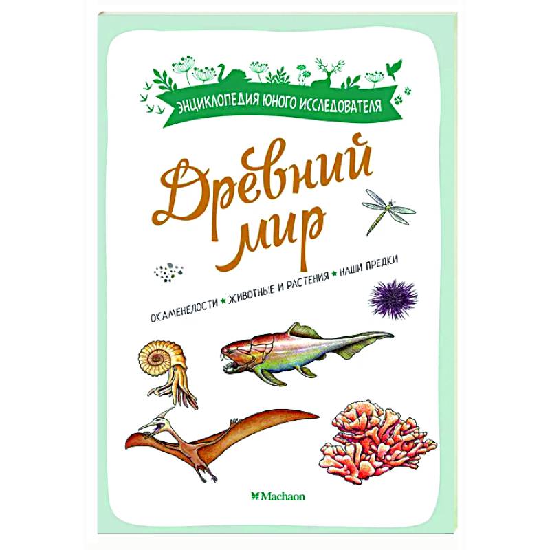 Фото Древний мир