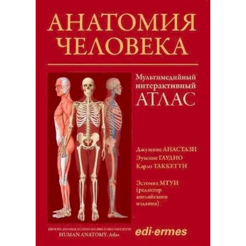Фото Анатомия человека:атлас