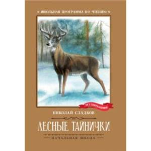 Фото Лесные тайнички