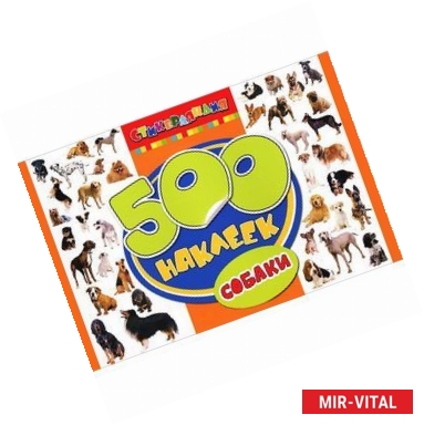 Фото Собаки