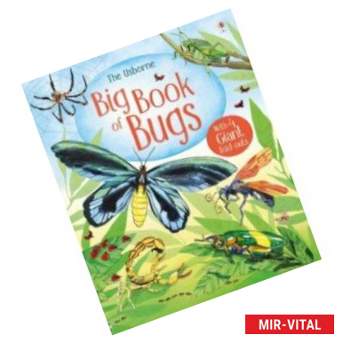 Фото Big Book of Bugs