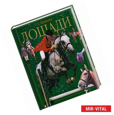 Фото Лошади