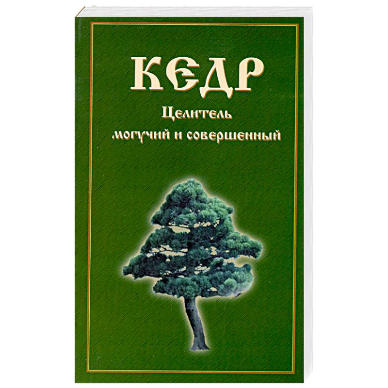 Фото Кедр. Целитель могучий и совершенный