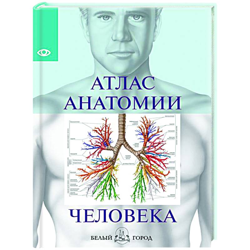Фото Атлас анатомии человека