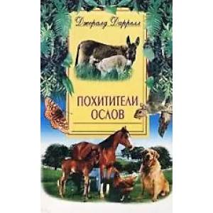 Фото Похитители ослов