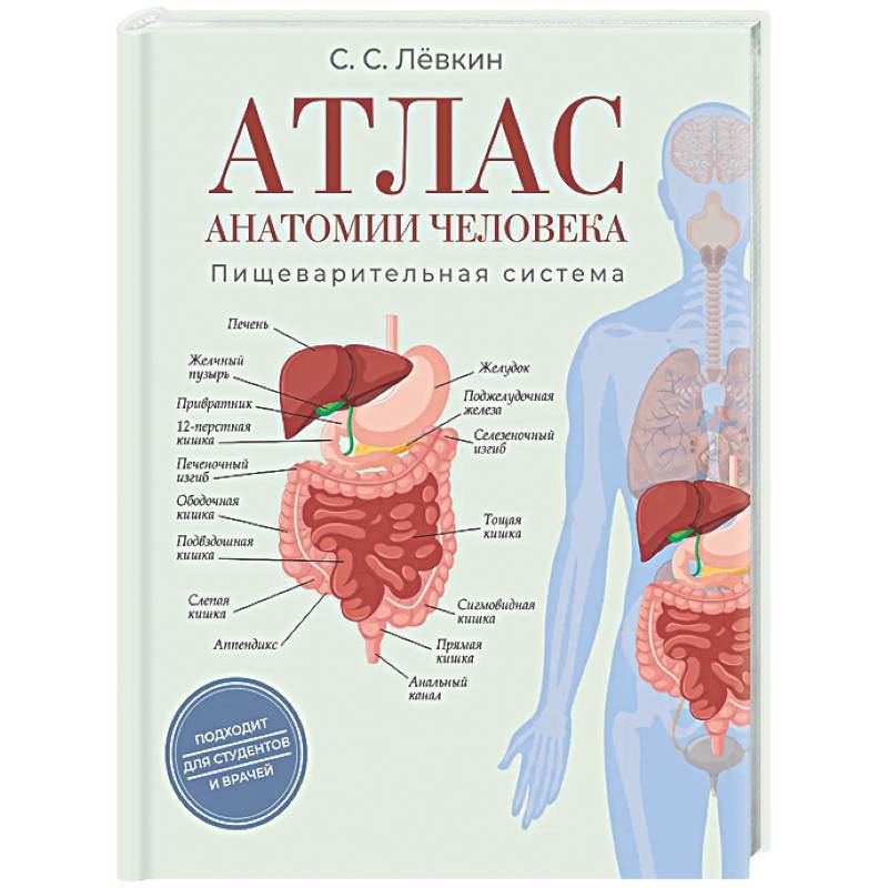 Фото Атлас анатомии человека. Пищеварительная система