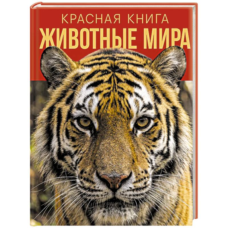 Фото Красная книга. Животные мира
