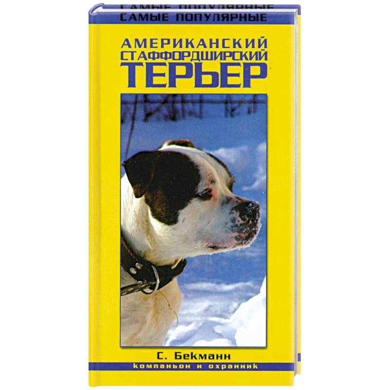 Фото Американский стаффордширский терьер. Компаньон и охранник