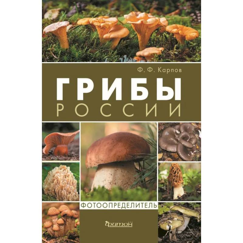 Фото Грибы России. Фотоопределитель