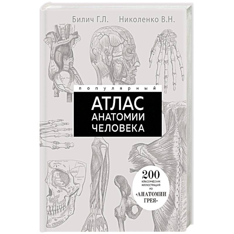 Фото Популярный атлас анатомии человека. 200 классических иллюстраций из «Анатомии Грея»