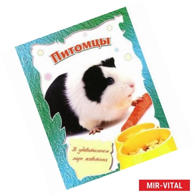 Фото Питомцы