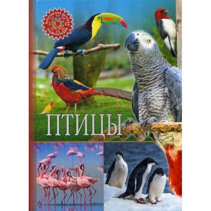 Фото Птицы