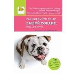 Фото Расшифруйте язык вашей собаки. Позы, лай, метки...